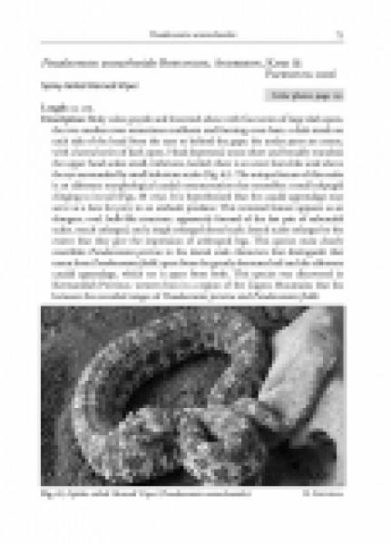 Venomous terrestrial Snakes of the Middle East